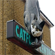 Catford Cat