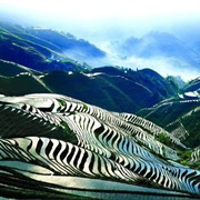 Long Ji Rice Terraces - Dragon's Backbone - China