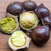 Djenkol (Archidendron Pauciflorum)