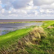 Romo Bridge, Skaerbaek, Denmark