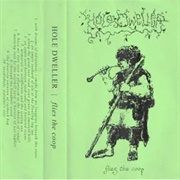 Hole Dweller-Flies in the Coop