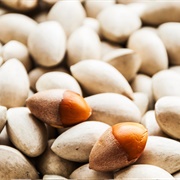 Gingko Nut