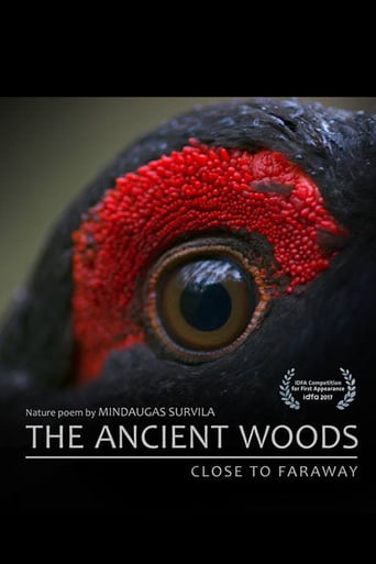 The Ancient Woods (2018)