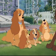Lady - Lady and the Tramp Scamp's Adventure