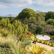 Tremenheere Sculpture Gardens