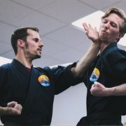 Shaolin Kempo Karate