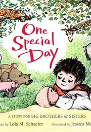 One Special Day (Lola M. Schaefer)
