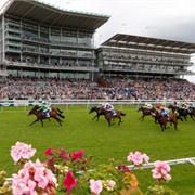 York Racecourse