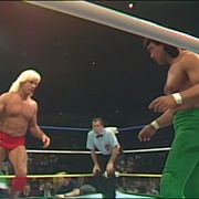 Flair vs. Steamboat Chi Town Rumble