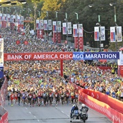 Run the 2014 Chicago Marathon