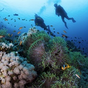 Scuba Dive in the Mediterranean