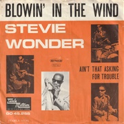 Blowin' in the Wind - Stevie Wonder