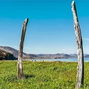 Whale Bone Alley, Siberia