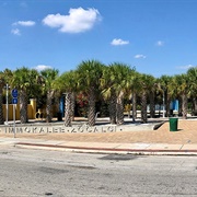 Immokalee, Florida