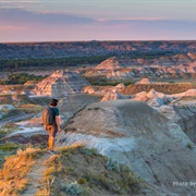 Hunt for Dinosaurs (AB)