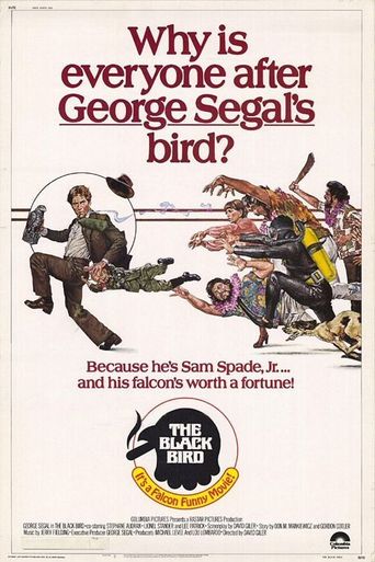 The Black Bird (1975)