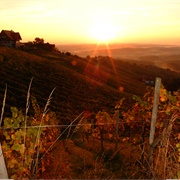 Schilcher Weinstraße