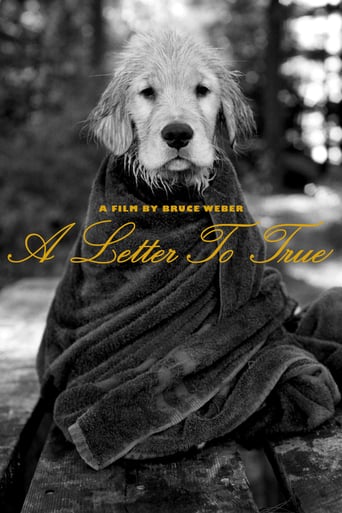 A Letter to True (2004)