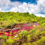 Caño Cristales, Meta, Colombia