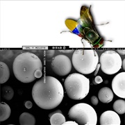 Disko 0 – Sal Y Mileto (2001)