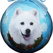 American Eskimo Dog Ornament