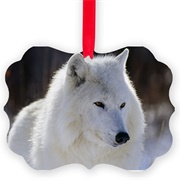 Arctic Wolf Ornament