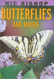 Butterflies and Moths (Nic Bishop)