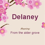 Delaney