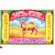 Camel Brand
