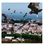 Birdemic: Shock and Terror (2010)