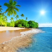 I Wanna Live in the Tropics