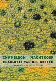 Chameleon (Charlotte Van Den Broek)