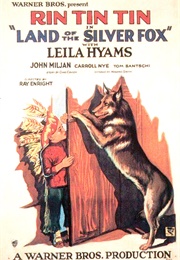 Land of the Silver Fox (1928)