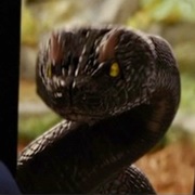 Incredibly Deadly Viper