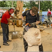 U.S..Open Chainsaw Carving Championship