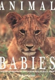 Animal Babies (Steve Parker)