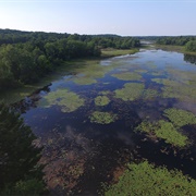 Brighton Recreation Area