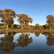 The Buscot and Coleshill Estates