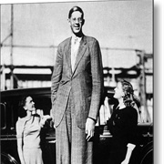 Robert Wadlow