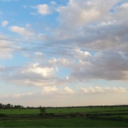 Visit the Scenic Countryside