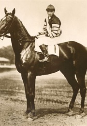 War House(A Document Movie) (2020)