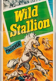 Wild Stallion (1952)