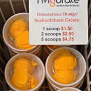 Sea Buckthorn Treats