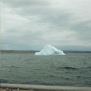 See an Iceberg Up Close