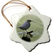 American Dipper Ornament