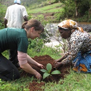 Green Belt Safari, Kenya