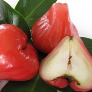 Wax Jambu
