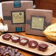 Sibo Artisan Chocolate Boxes (Costa Rica)