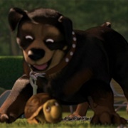 Nugent (Over the Hedge)