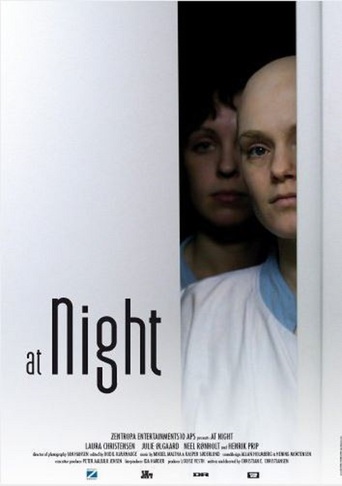 At Night (2007)